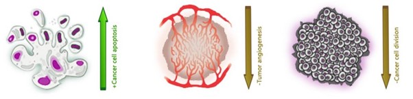 Read more about the article Potential Glioblastoma cancer cure with an orphan drug