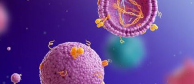 Read more about the article <strong>Exosomes: The Inter-cellular Communication System</strong>